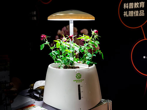 5a6a941507de2.jpg